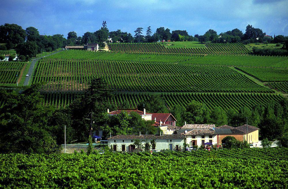 مبيت وإفطار Saint-Ciers-de-Canesse Chateau Rousselle المظهر الخارجي الصورة